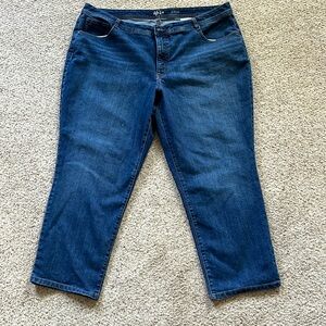 Style & Co slim leg jeans 22WP